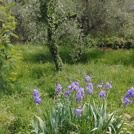 Casetta 5 Terre